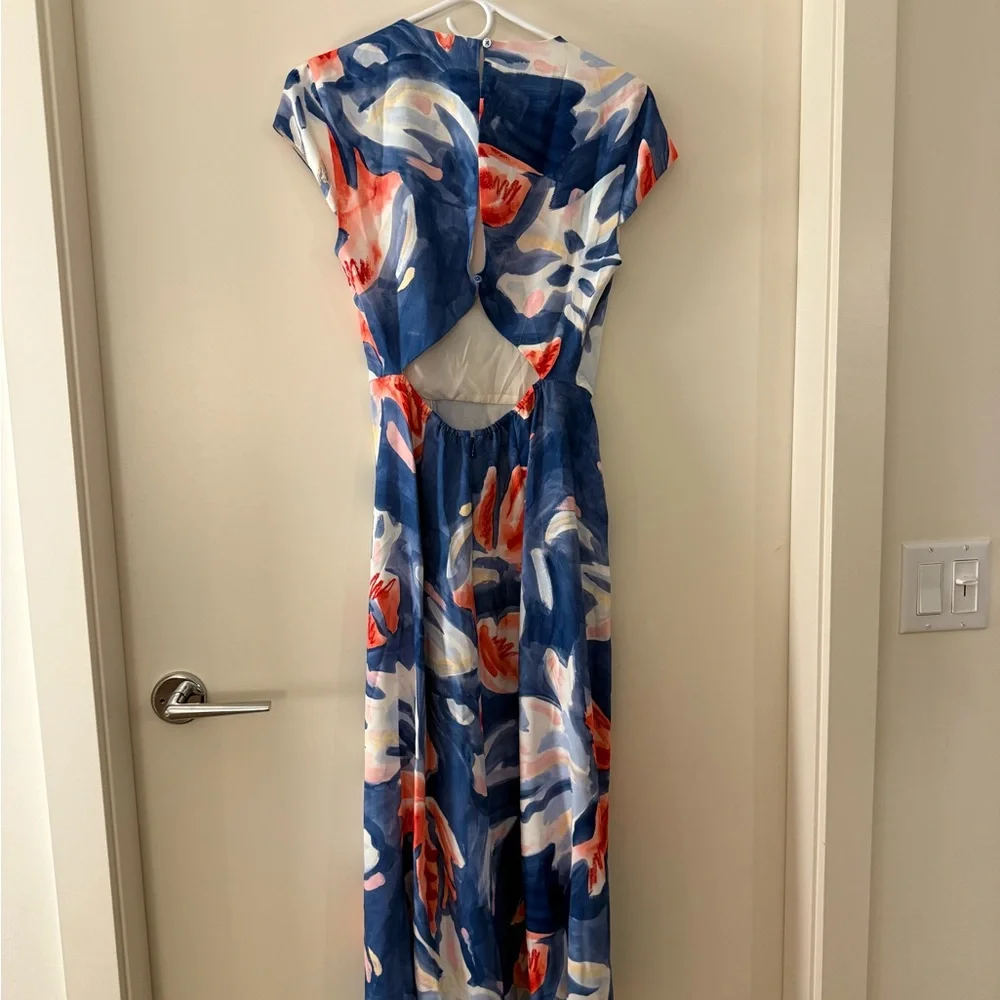 Aritzia Blue and Pink Floral Midi Dress - Picture 4 of 5